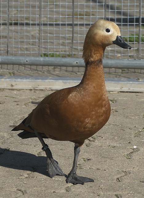 问题
