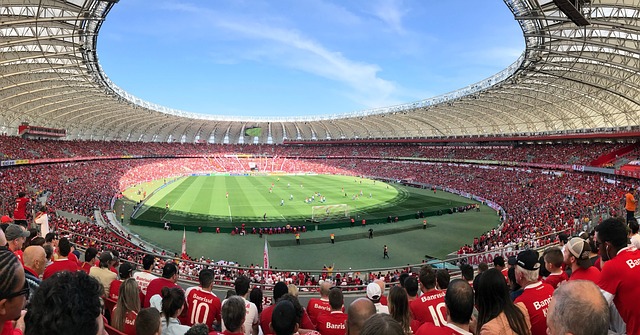 养的新星