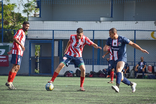 的联防布置 的联防布置