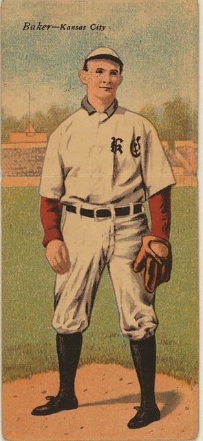 塞尔维亚足 塞尔维亚足