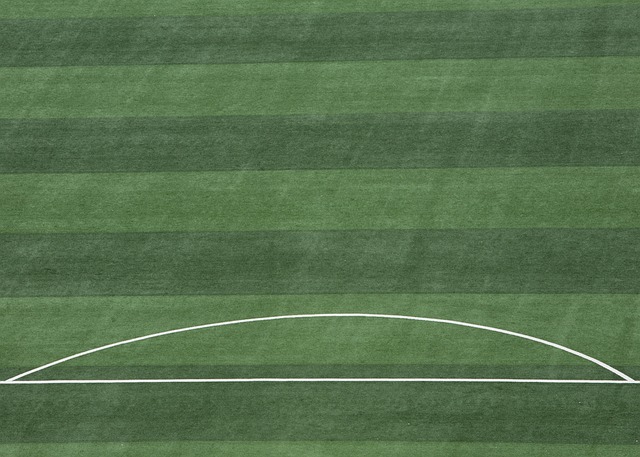 体育发展感 体育发展感