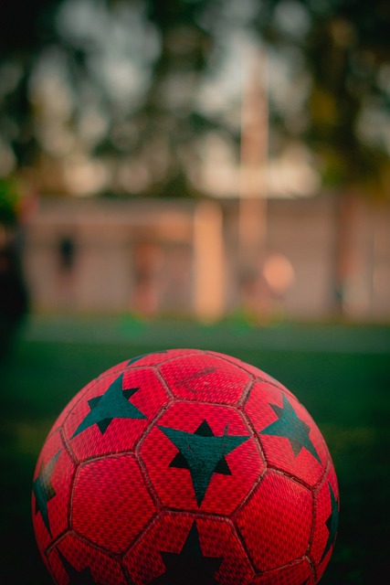 林狼的顽强 林狼的顽强