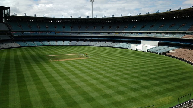 翼展开攻势 翼展开攻势