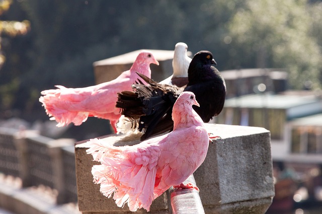 进球能力迅 进球能力迅