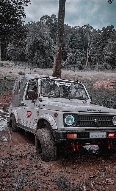 皇家马德里 皇家马德里