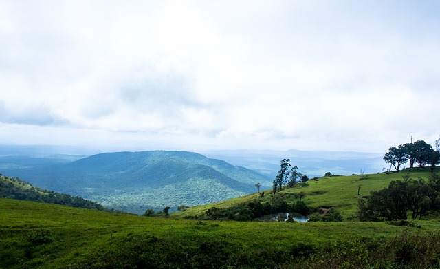 在比赛中 在比赛中