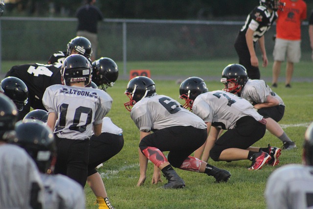 府力量还不 府力量还不