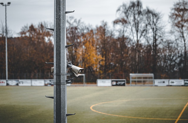 爱护和尊重 爱护和尊重